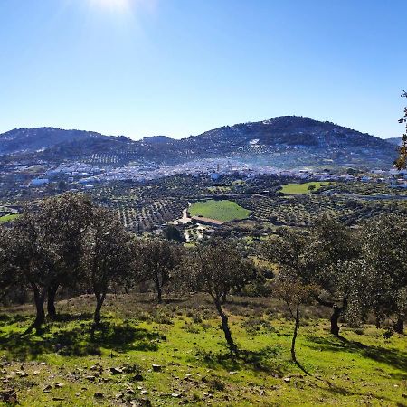 Casa Rural El Trepador Azul Cabeza la Vaca Bagian luar foto