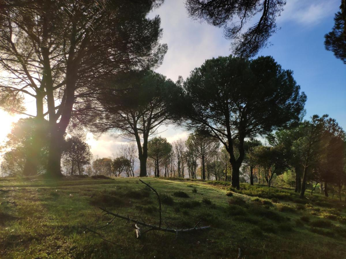 Casa Rural El Trepador Azul Cabeza la Vaca Bagian luar foto